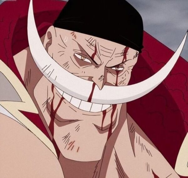 Bộ sưu tập 50+ ảnh anime Edward Newgate One Piece ngầu nhất