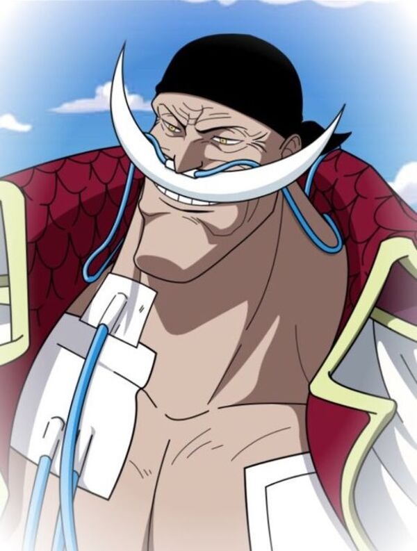 Bộ sưu tập 50+ ảnh anime Edward Newgate One Piece ngầu nhất